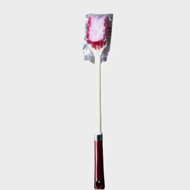 Toilet brush