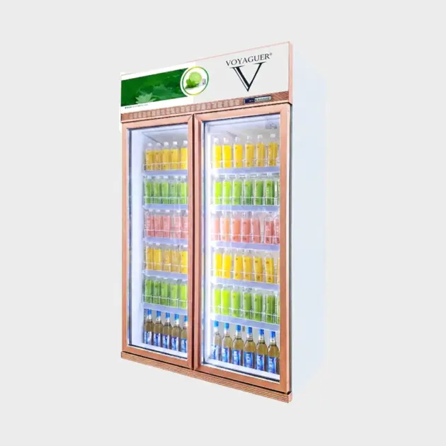 2 Doors Chiller