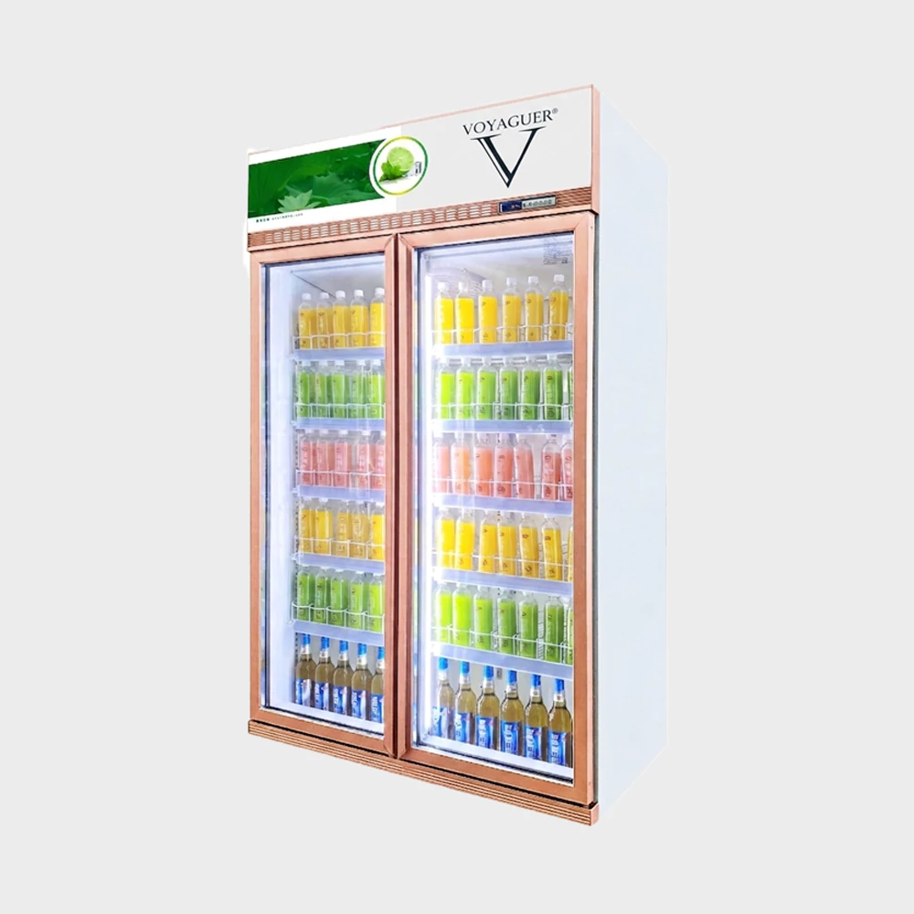 2 Doors Chiller